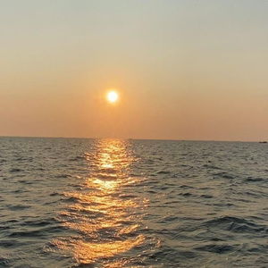 狂野欧美性猛交XXⅩ李丽珍
